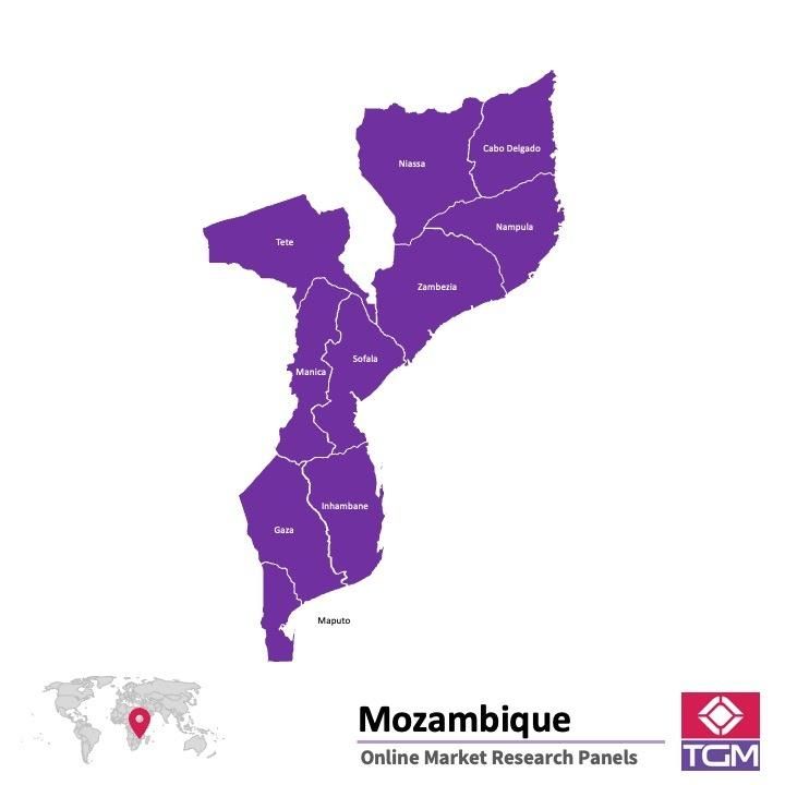 Panel online en Mozambique |  Investigación de mercado y encuestas en Mozambique
