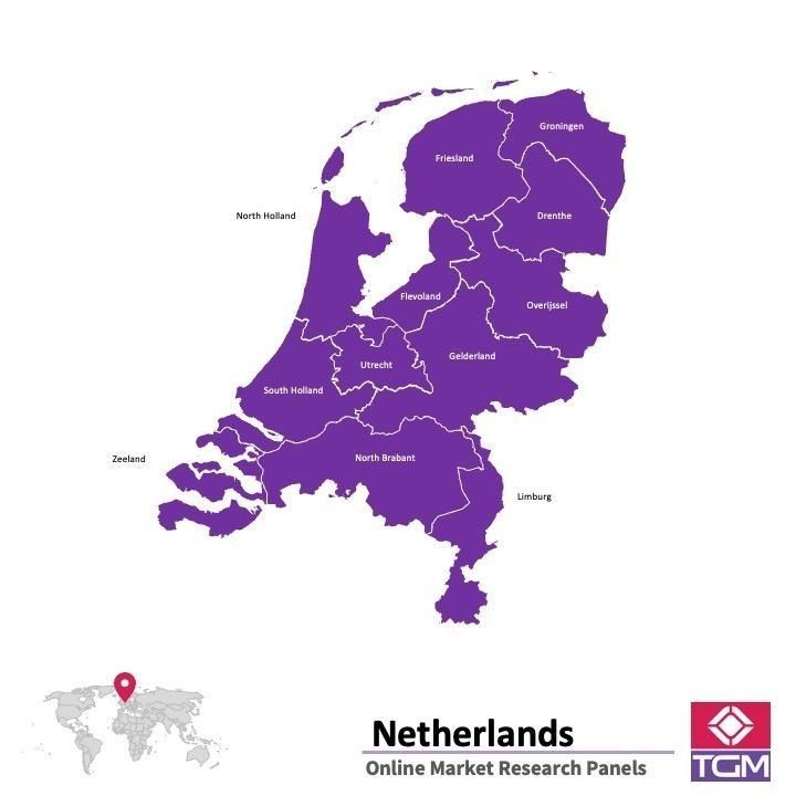 Panel online en Holanda |  Investigación de mercado y encuestas en Holanda