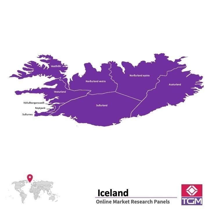 Panel online en Islandia |  Investigación de mercado y encuestas en Islandia