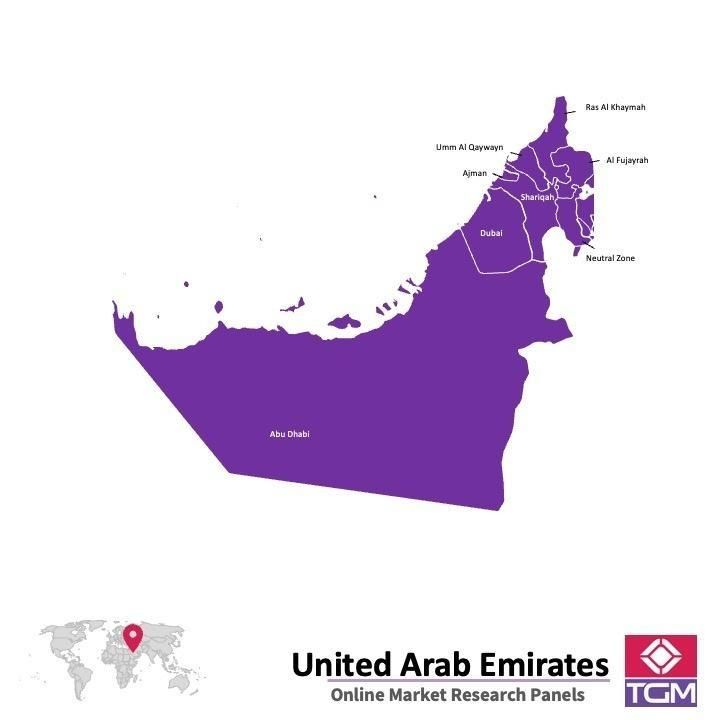 Panel online en Emiratos Árabes Unidos |  Investigación de mercado y encuestas en Emiratos Árabes Unidos