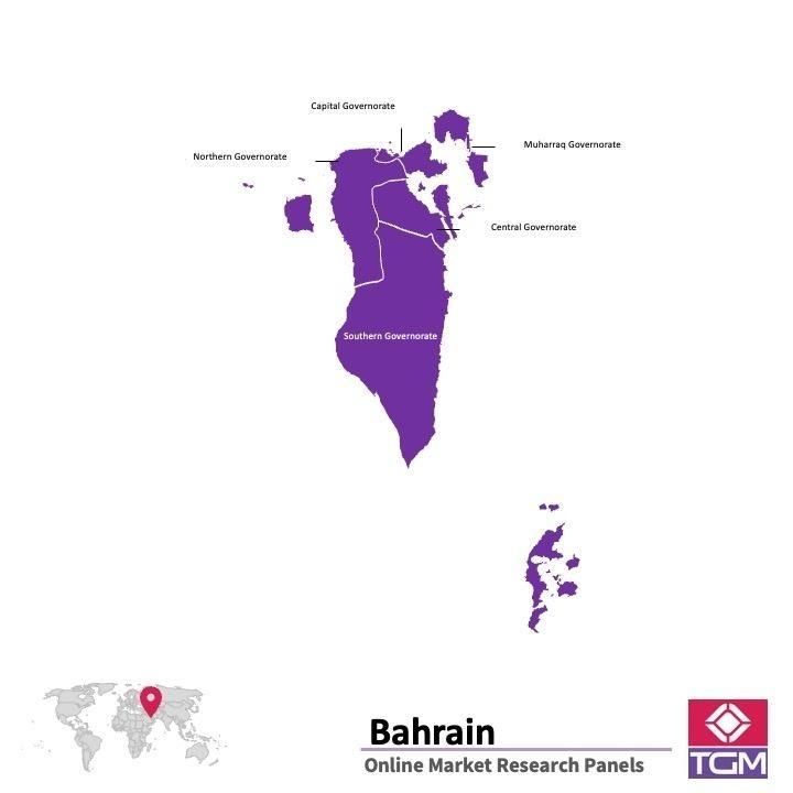 Panel online en Bahréin |  Investigación de mercado y encuestas en Bahréin