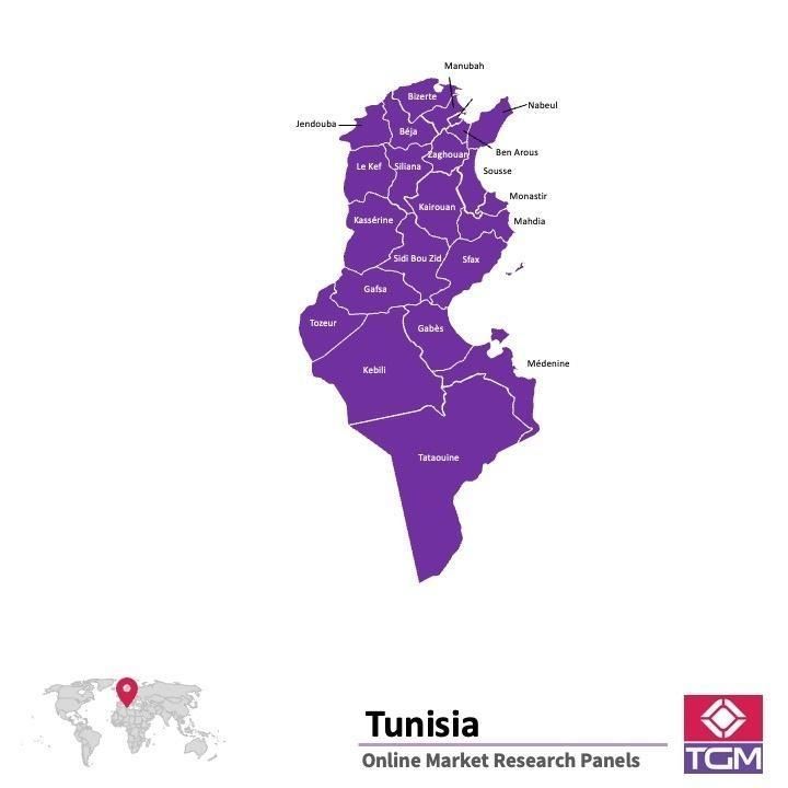 Panel online en Túnez |  Investigación de mercado y encuestas en Túnez