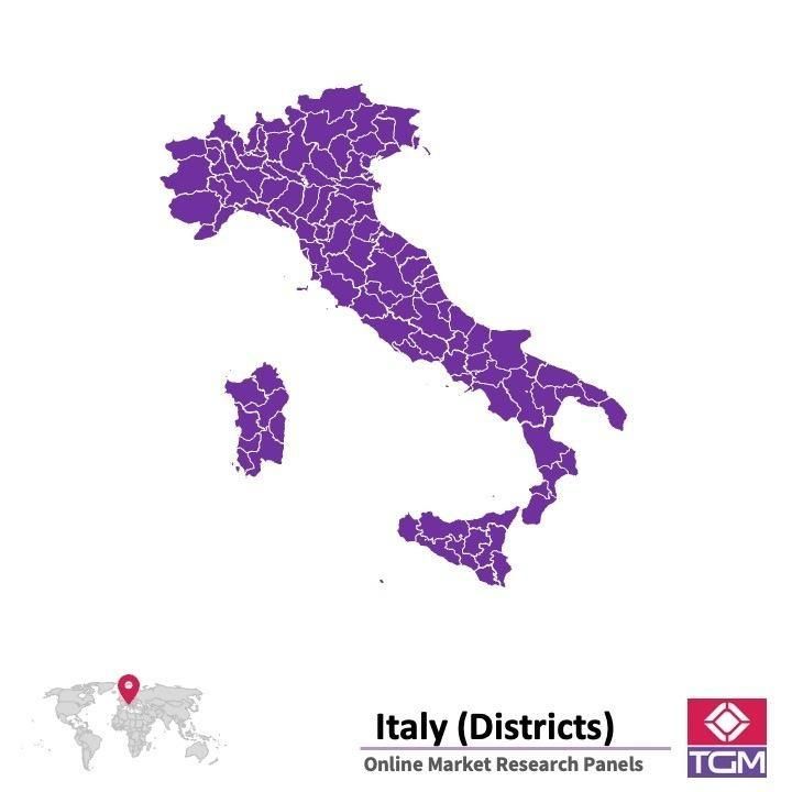 Panel online en Italia |  Investigación de mercado y encuestas en Italia