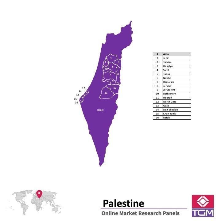 Panel online en Palestina |  Investigación de mercado y encuestas en Palestina
