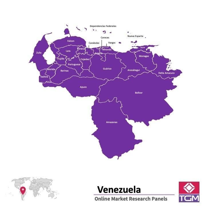 Panel online en Venezuela |  Investigación de mercado y encuestas en Venezuela