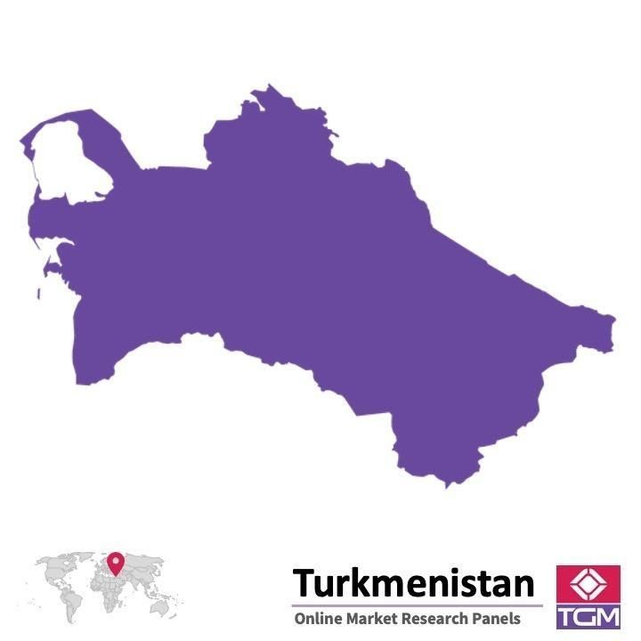 Panel online en Turkmenistán |  Investigación de mercado y encuestas en Turkmenistán