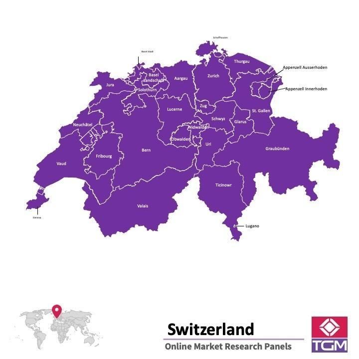 Panel online en Suiza |  Investigación de mercado y encuestas en Suiza