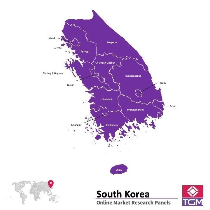 Panel online en Corea del Sur |  Investigación de mercado y encuestas en Corea del Sur