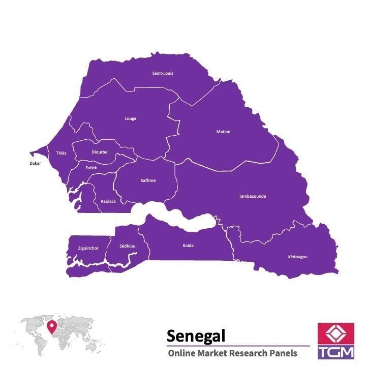 Panel online en Senegal |  Investigación de mercado y encuestas en Senegal