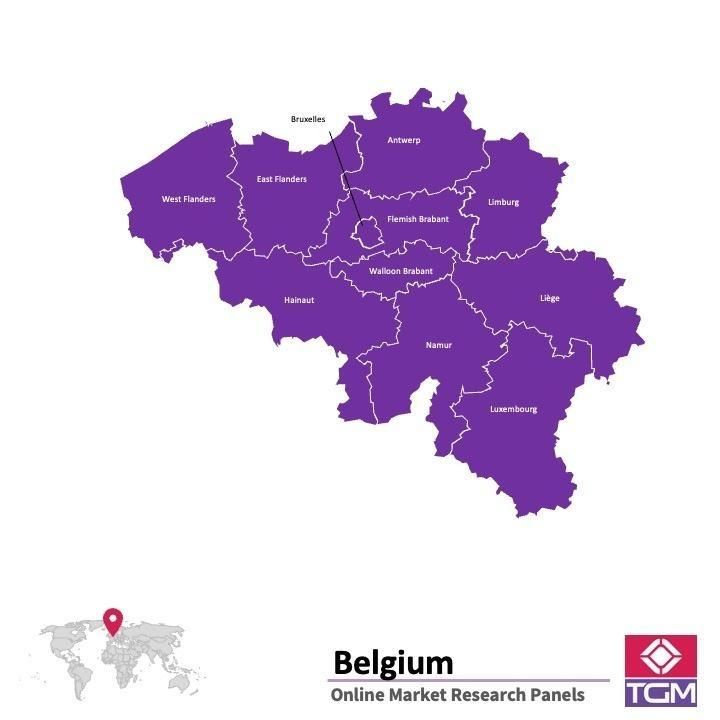 Panel online en Belgica |  Investigación de mercado y encuestas en Belgica