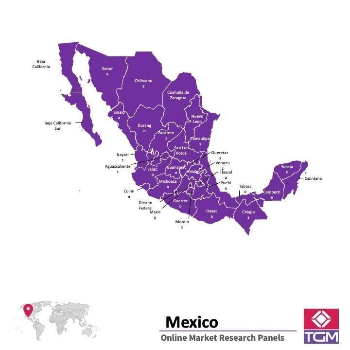 Panel online en Mexico |  Investigación de mercado y encuestas en Mexico