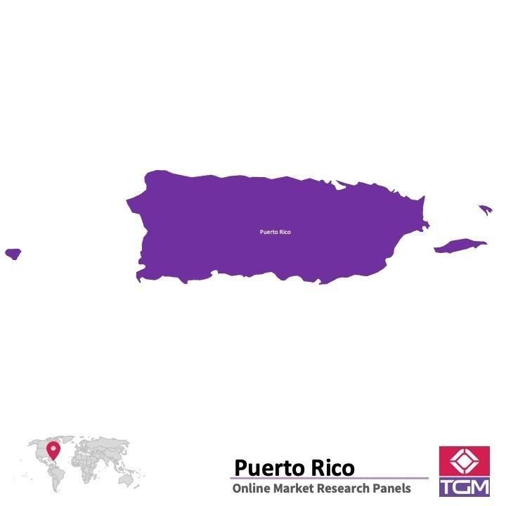 Panel online en Puerto Rico |  Investigación de mercado y encuestas en Puerto Rico