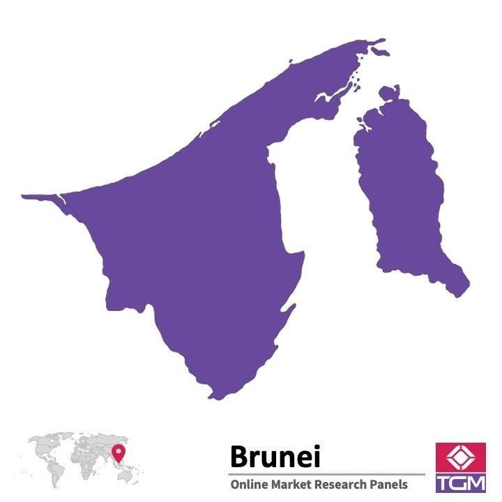 Panel online en Brunei |  Investigación de mercado y encuestas en Brunei