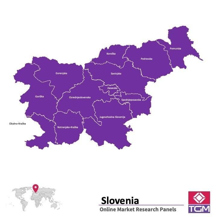 Panel online en Eslovenia |  Investigación de mercado y encuestas en Eslovenia