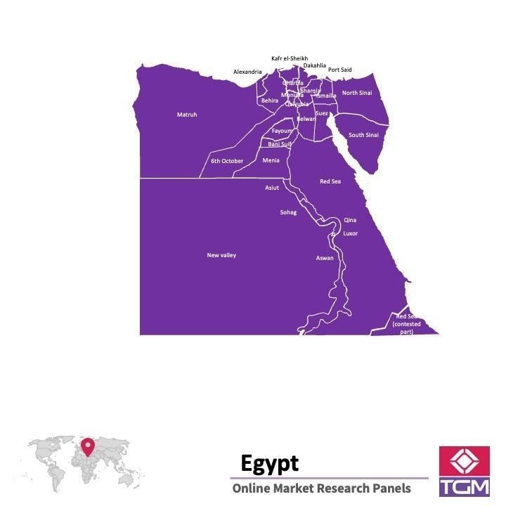 Panel online en Egipto |  Investigación de mercado y encuestas en Egipto