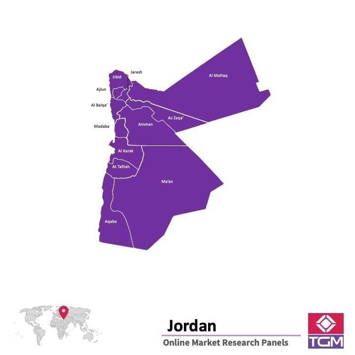 Panel online en Jordania |  Investigación de mercado y encuestas en Jordania