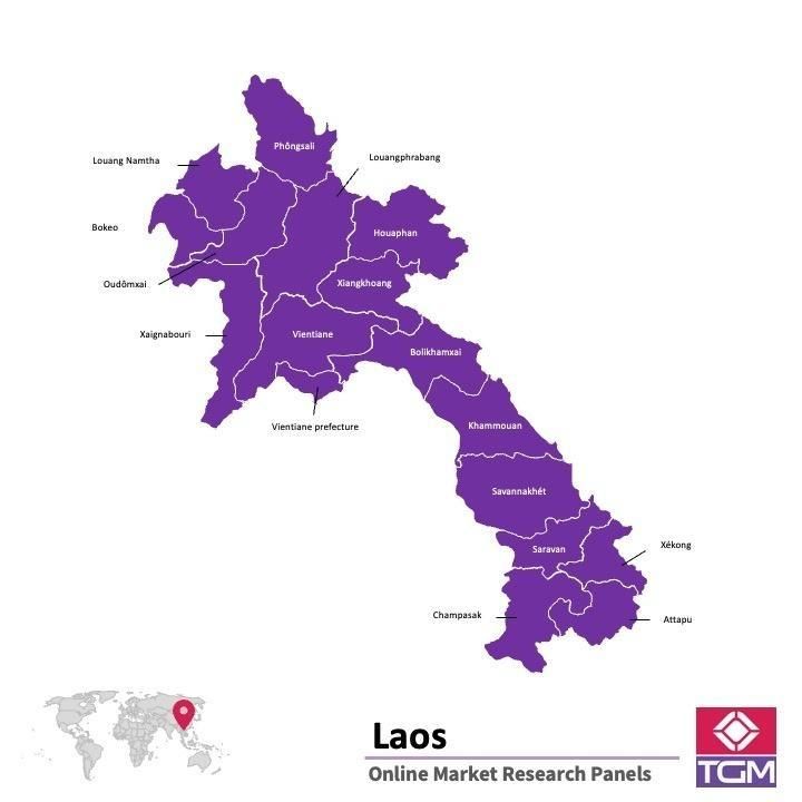 Panel online en Laos |  Investigación de mercado y encuestas en Laos