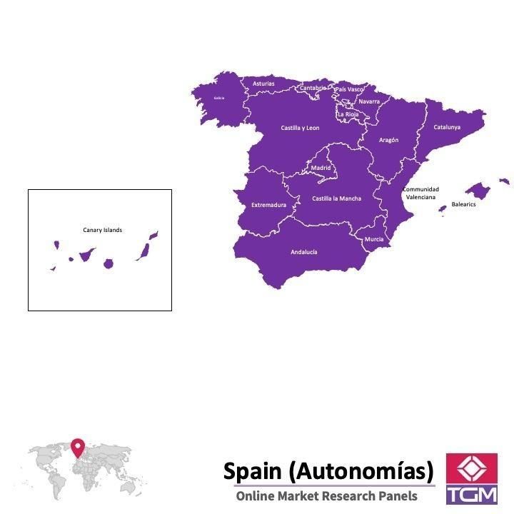 Panel online en España |  Investigación de mercado y encuestas en España