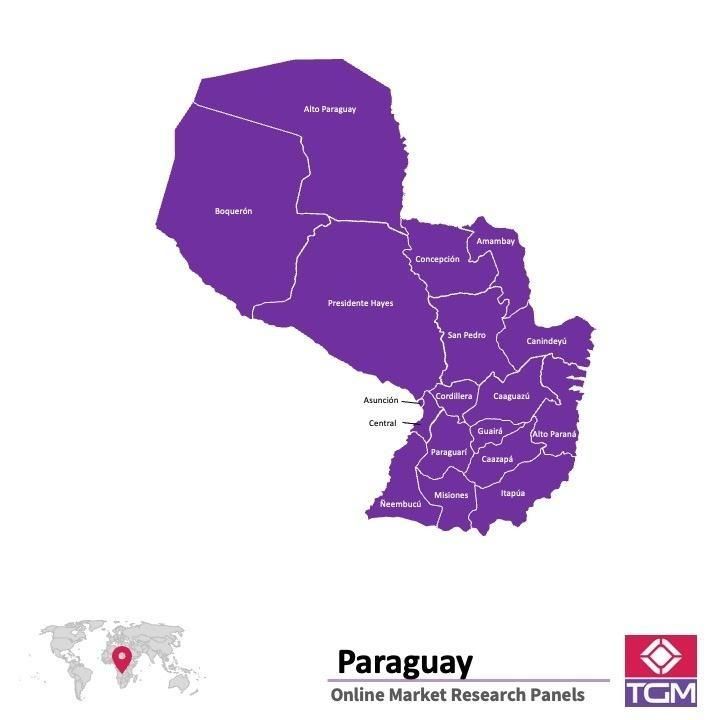 Panel online en Paraguay |  Investigación de mercado y encuestas en Paraguay