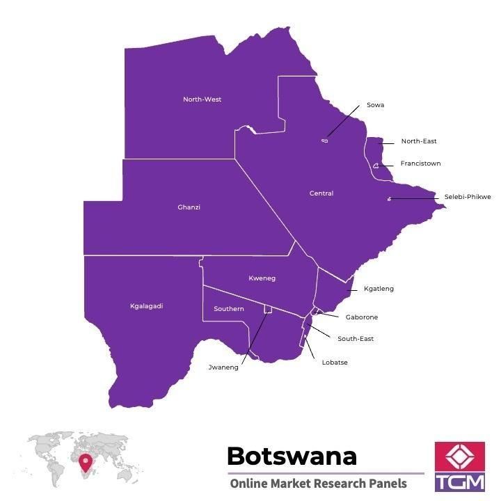 Panel online en Botswana |  Investigación de mercado y encuestas en Botswana