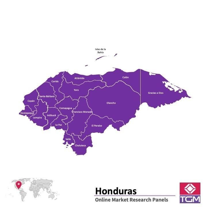 Panel online en Honduras |  Investigación de mercado y encuestas en Honduras