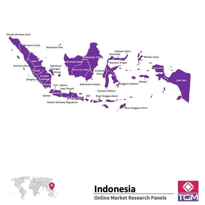 Panel online en Indonesia |  Investigación de mercado y encuestas en Indonesia