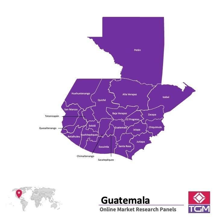 Panel online en Guatemala |  Investigación de mercado y encuestas en Guatemala