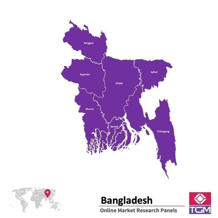 Panel online en Bangladesh |  Investigación de mercado y encuestas en Bangladesh