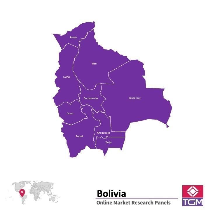 Panel online en Bolivia |  Investigación de mercado y encuestas en Bolivia