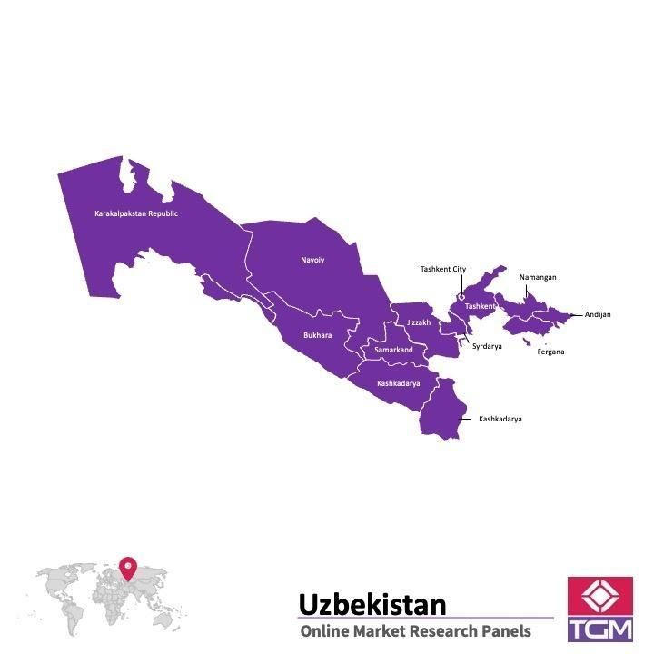 Panel online en Uzbekistán |  Investigación de mercado y encuestas en Uzbekistán