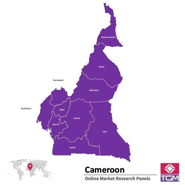 Panel online en Camerún |  Investigación de mercado y encuestas en Camerún