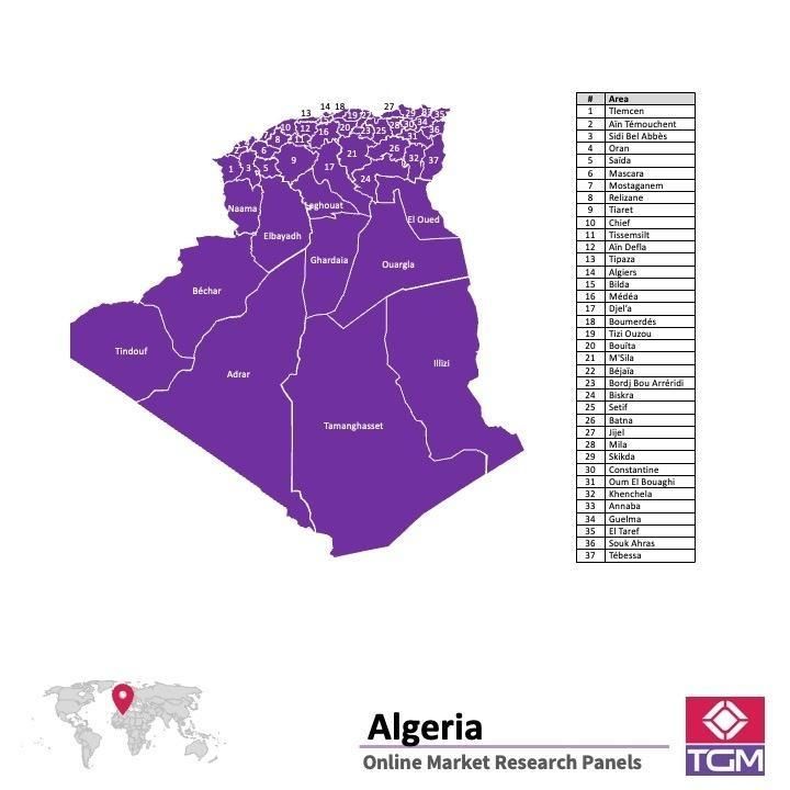 Panel online en Algeria |  Investigación de mercado y encuestas en Algeria