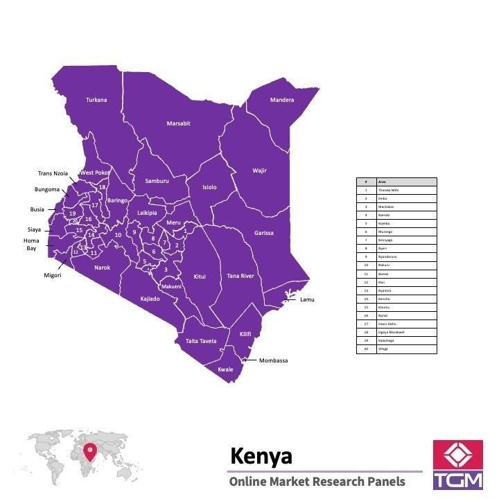 Panel online en Kenia |  Investigación de mercado y encuestas en Kenia