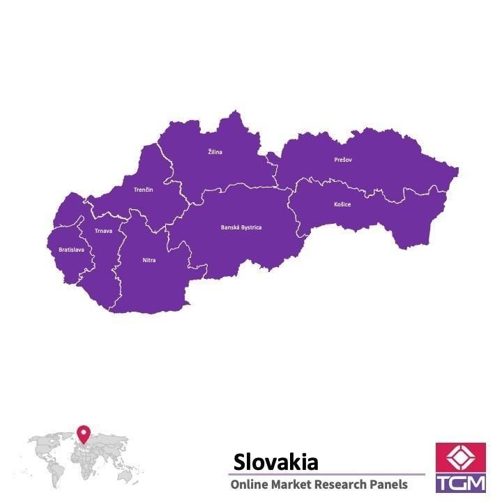 Panel online en Eslovaquia |  Investigación de mercado y encuestas en Eslovaquia
