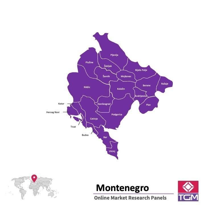 Panel online en Montenegro |  Investigación de mercado y encuestas en Montenegro