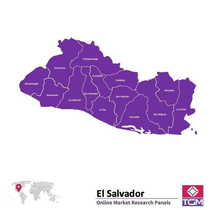 Panel online en El Salvador |  Investigación de mercado y encuestas en El Salvador