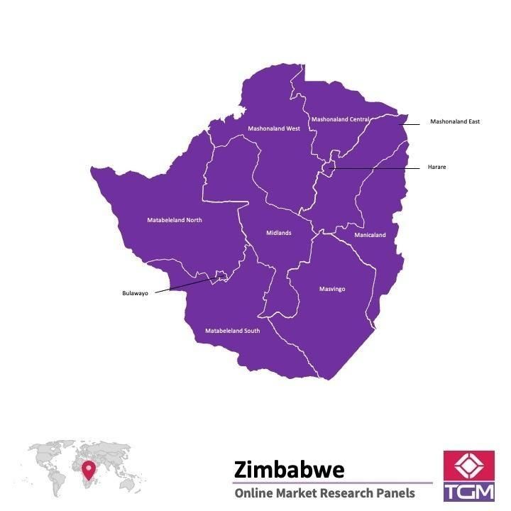 Panel online en Zimbabwe |  Investigación de mercado y encuestas en Zimbabwe