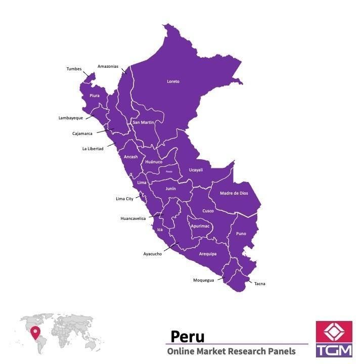 Panel online en Perú |  Investigación de mercado y encuestas en Perú