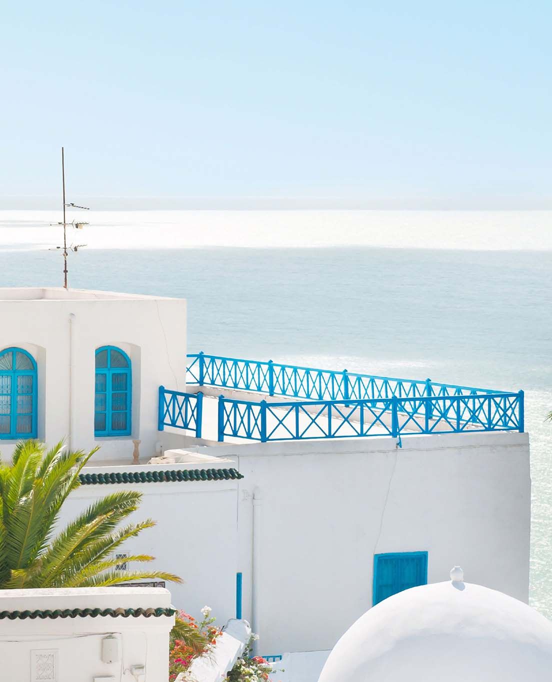 Túnez en un vistazo