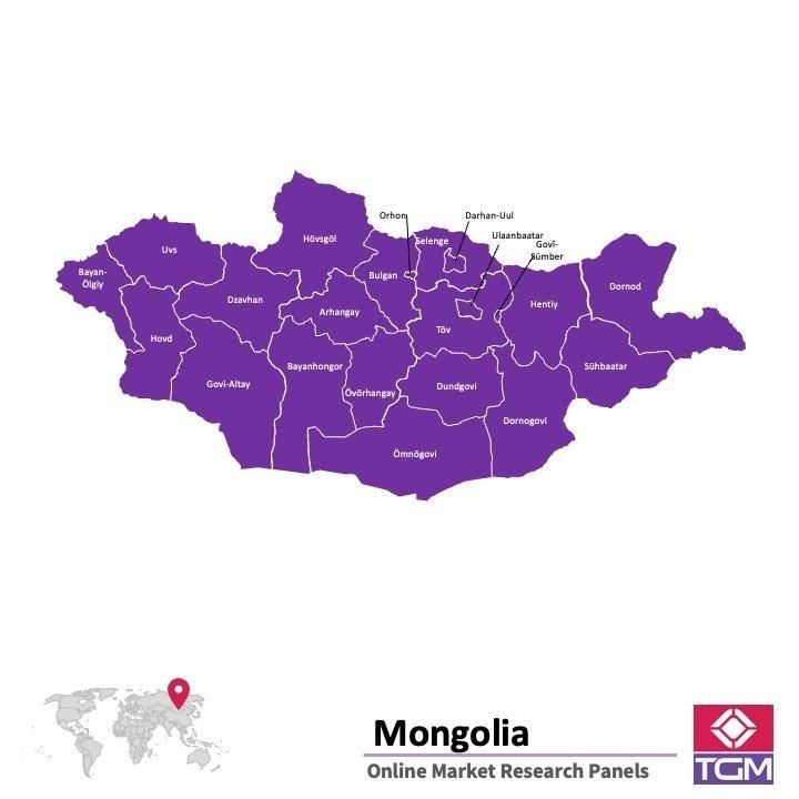 Panel online en Mongolia |  Investigación de mercado y encuestas en Mongolia