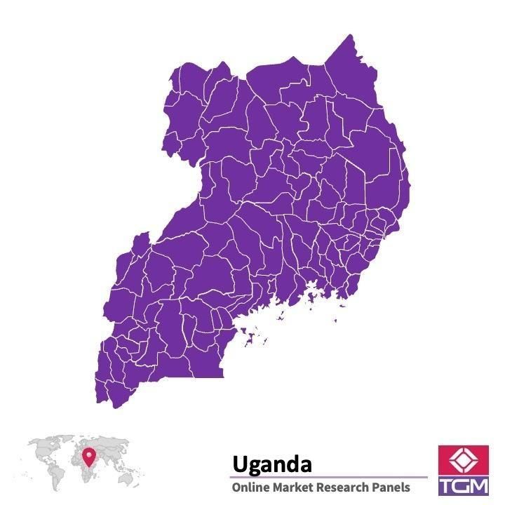 Panel online en Uganda |  Investigación de mercado y encuestas en Uganda