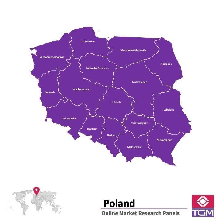 Panel online en Polonia |  Investigación de mercado y encuestas en Polonia