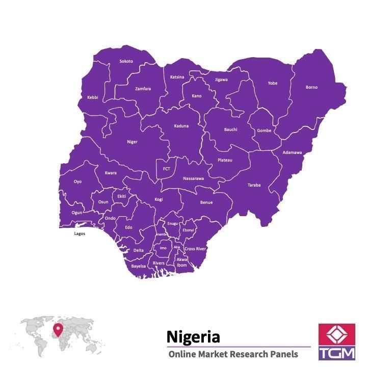 Panel online en Nigeria |  Investigación de mercado y encuestas en Nigeria