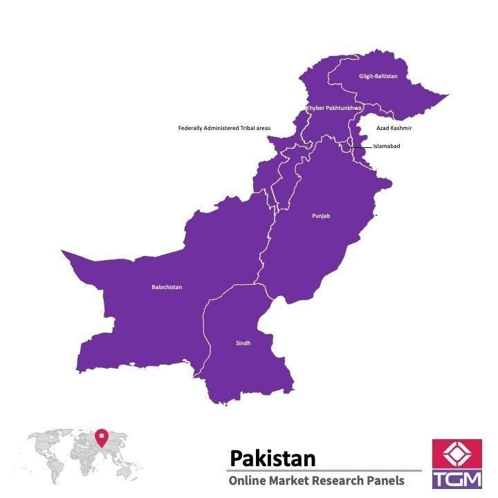Panel online en Pakistán |  Investigación de mercado y encuestas en Pakistán