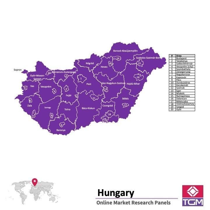 Panel online en Hungría |  Investigación de mercado y encuestas en Hungría