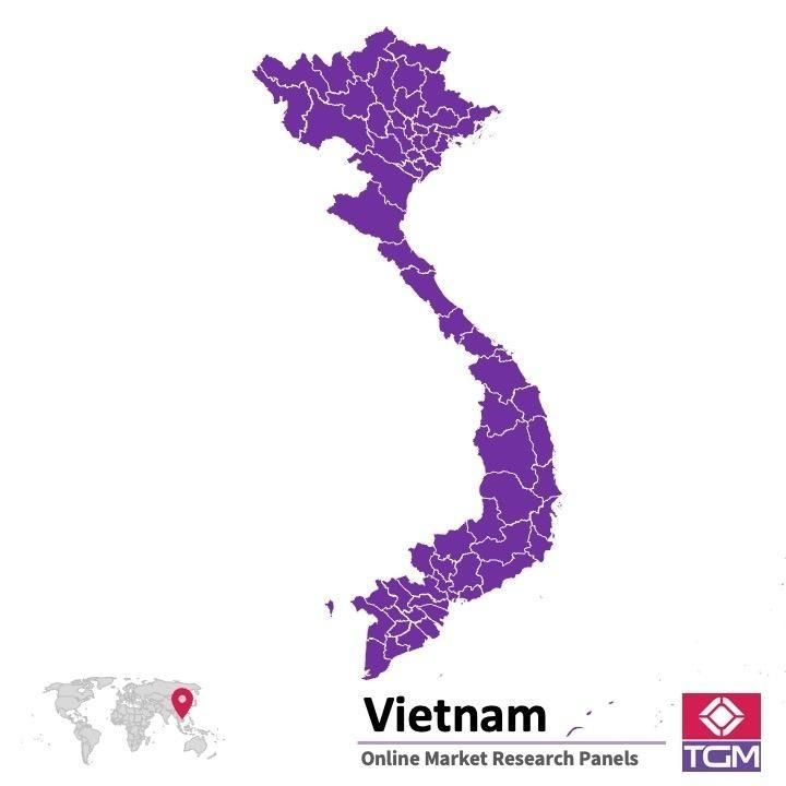 Panel online en Vietnam |  Investigación de mercado y encuestas en Vietnam